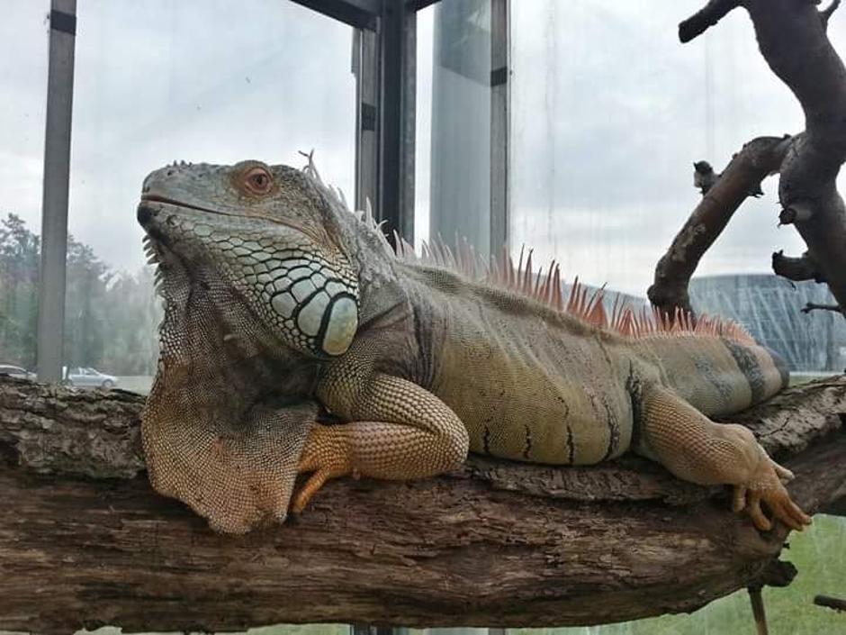 21. Bioexo | Avtor: Bioexo