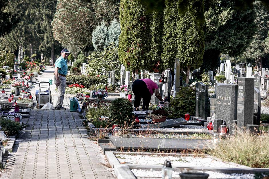 Žale | Avtor: Saša Despot