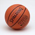 žoga košarka košarkarska žoga NBA spalding