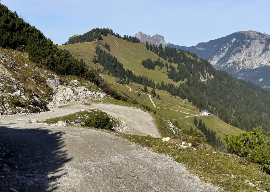 Kolesarjenje, MTB, gorsko kolesarjenje | Avtor: Profimedia