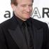 robin williams