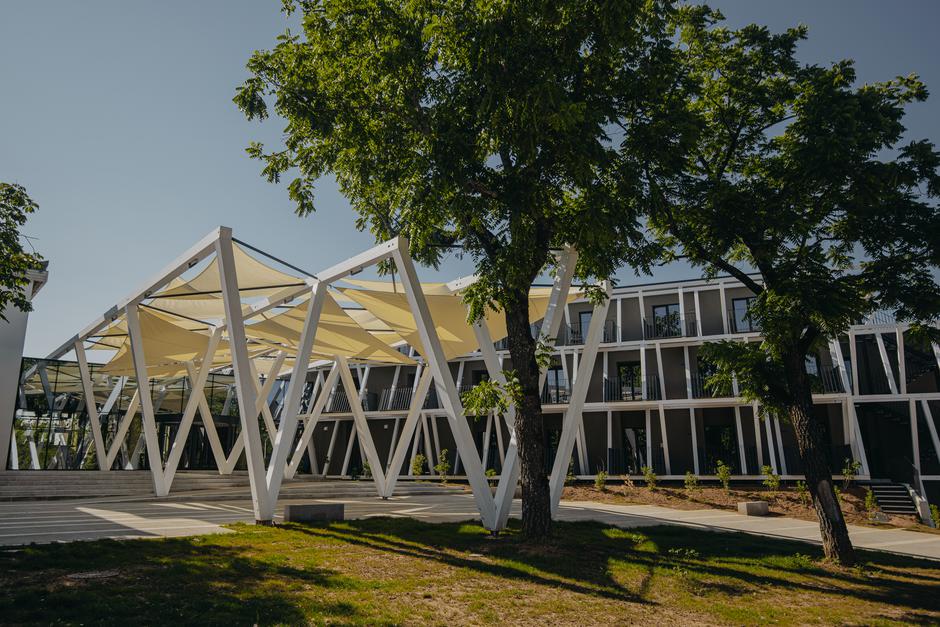 Kobilarna Lipica | Avtor: Kobilarna Lipica