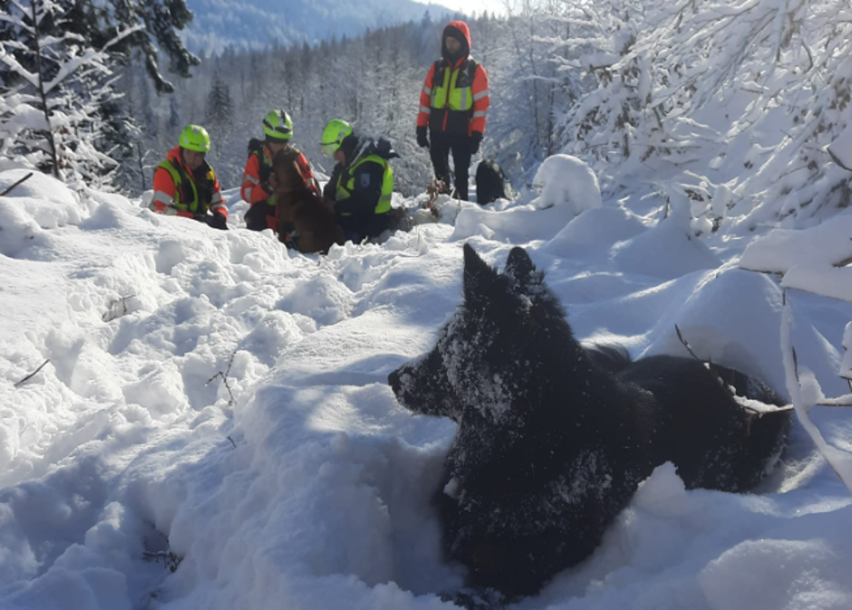 kd obala | Avtor: KD Obala