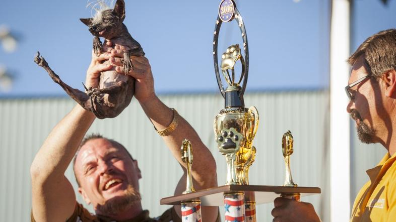 Tekmovanje za najgršega psa na svetu