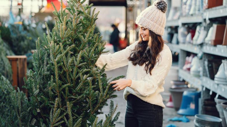 Smreka, božično drevo, okraski, okraševanje, jelka