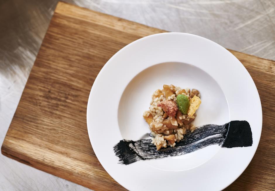 Kobilarna Lipica | Avtor: Kobilarna Lipica