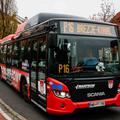 Marprom avtobus