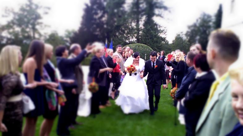 alenka gotar, anže šuštar