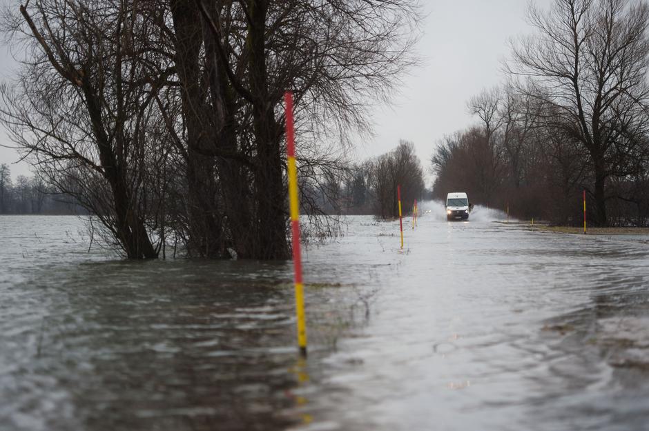Poplavljeno območje Ljubljanskega barja. | Avtor: Anže Petkovšek