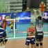 ACH Volley Piacenza Liga prvakov dvorana Stožice