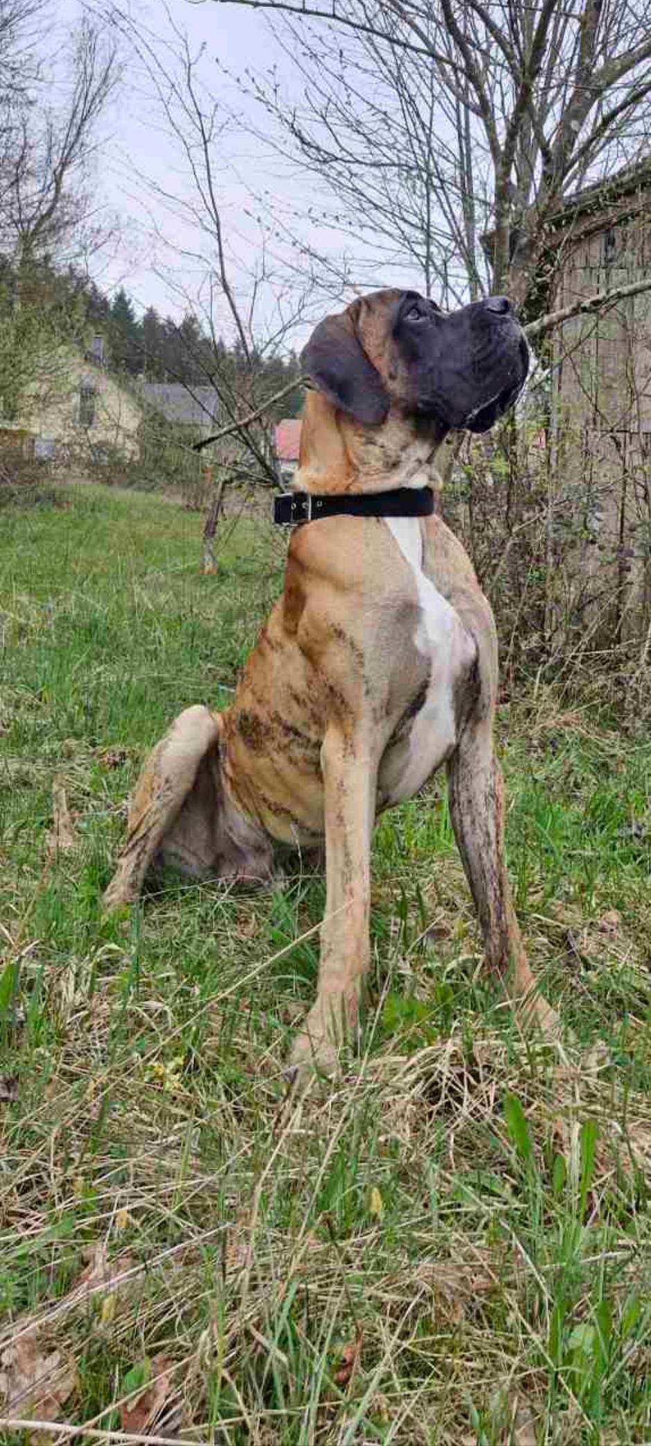 leopold karitas | Avtor: Andreja Cilenšek