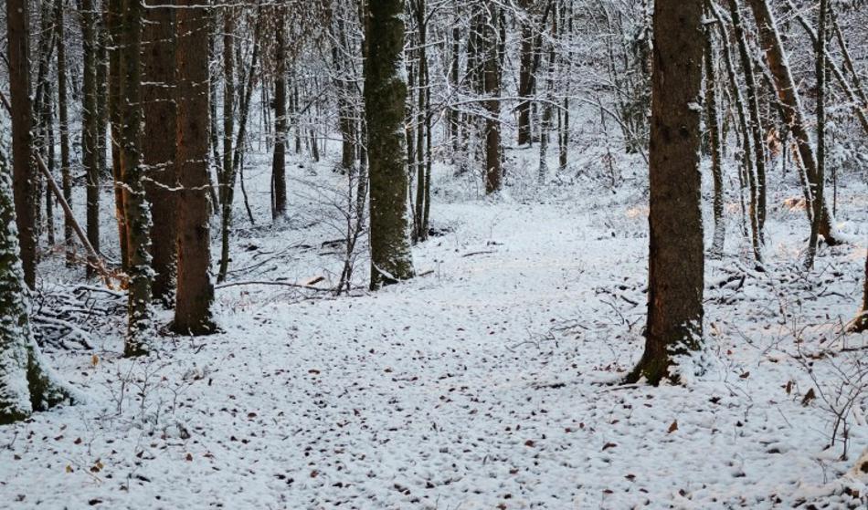 Vreme: "Za ljubitelje zime in snega so zanimivi časi pred nami"