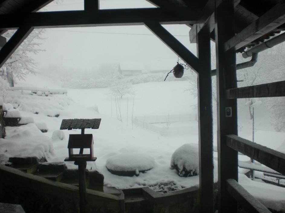 Sneg v Pristavi pri Višnji Gori 