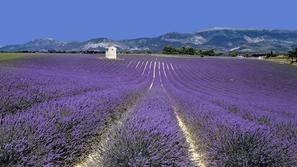 Maja se bodo temperature na Azurni obali in v Provansi povzpele že krepko nad 20