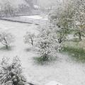 vreme Ljubljana sneg