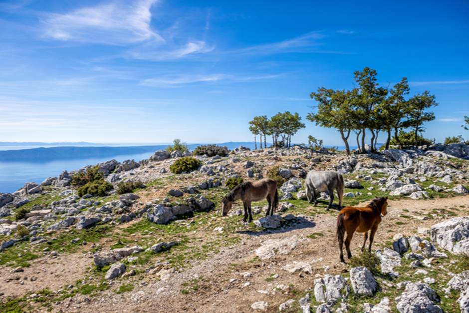 Naravni park Biokovo | Avtor: Julien Duval