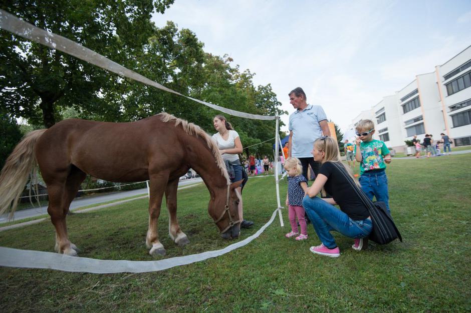 sejem 2016 | Avtor: Anže Petkovšek