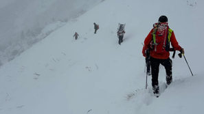 tosc reševanje grzs