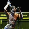 Ameriški neutrudni roker Iggy Pop, ki je letos dopolnil 60 let, bo nosilec torko