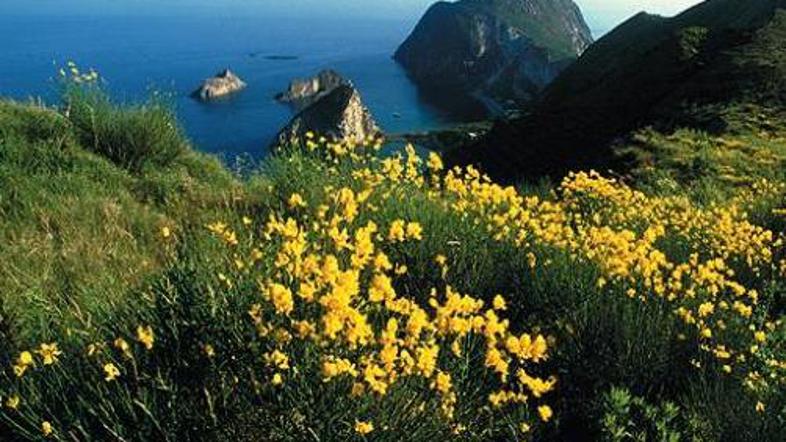 Italijani svoje otoke zasedejo avgusta, ko se množično odpravijo na počitnice.