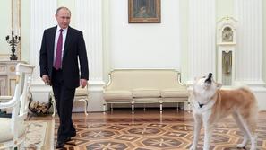 Vladimir Putin in psička Yume