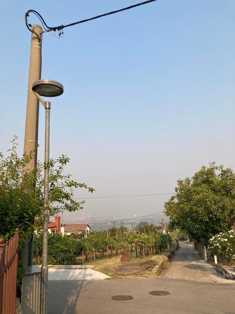 Parecag po požaru na Krasu