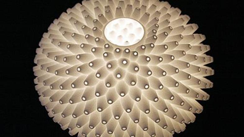 Lučka, ki spominja na morsko vetrnico ...