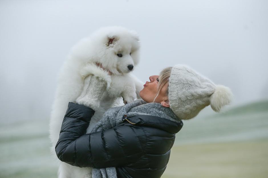 Izdelki iz samojedove dlake | Avtor: matejka celarc perčič