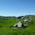 Velika planina