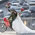 Poročen par na kolesu v Pekingu.
