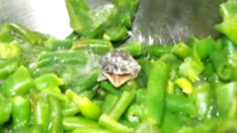 zamrznjena zelenjava kača