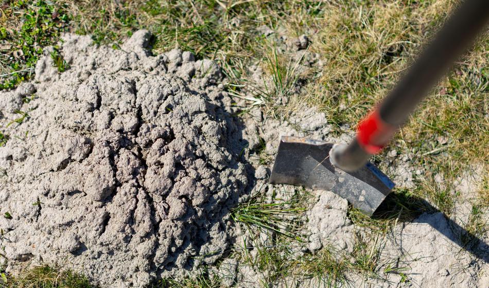 Javna dražba: Koprska občina prodaja zemljišča