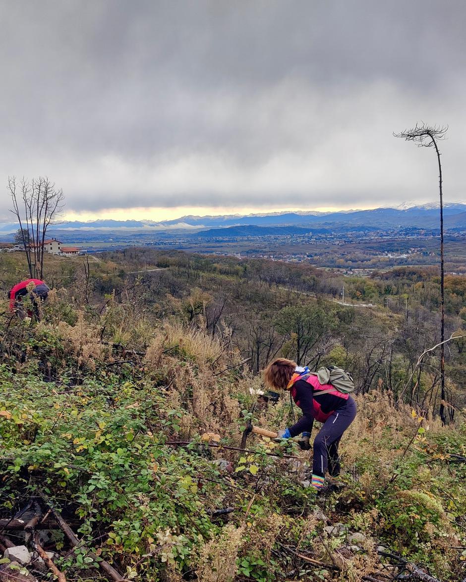 Kras | Avtor: Facebook/Evropska komisija v Sloveniji