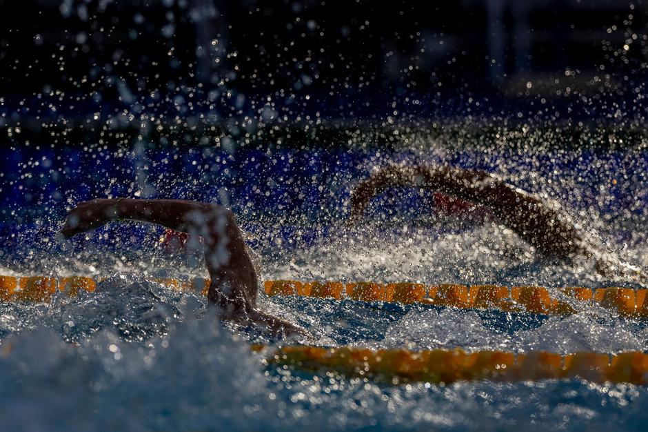 Janja Šegel | Avtor: Profimedia