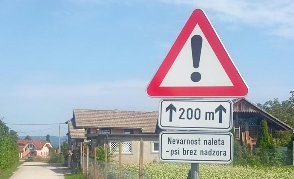 Mihovica | Avtor: D. M.