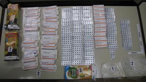 (Foto: Policijska uprava Koper)