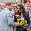 meghan markle, princ harry