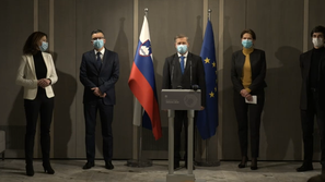 Koalicija ustavnega loka