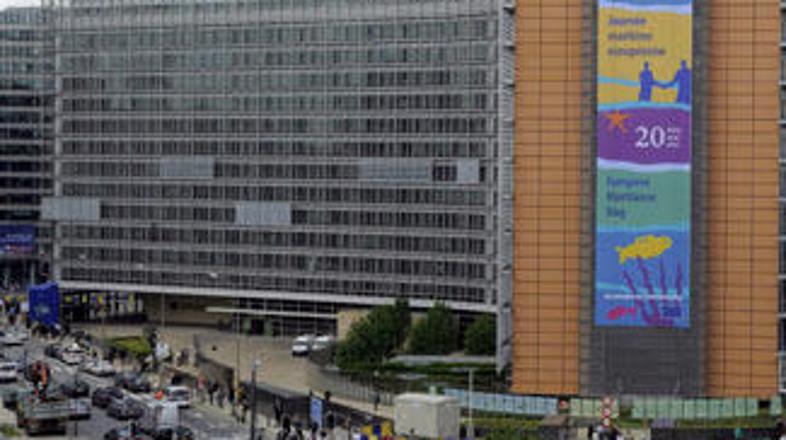 Večina držav članic je po navedbah v Bruslju svoje sheme brez težav prilagodila 