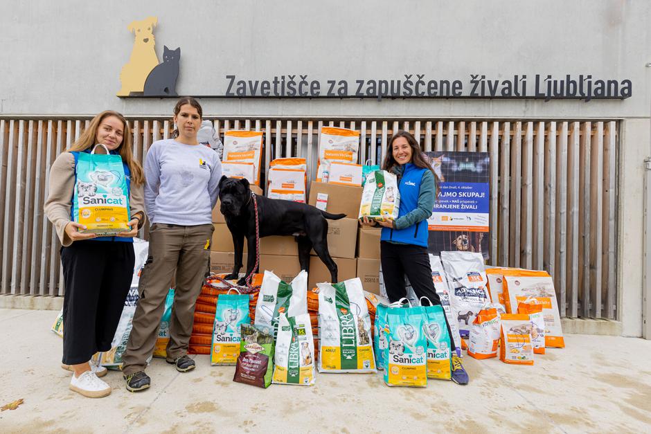 Mr. Pet | Avtor: Mr. Pet