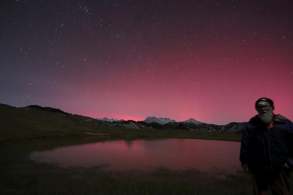 Severni sij | Avtor: Anton Špenko