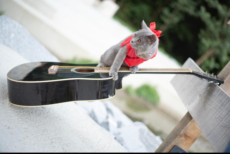 denis tajhman | Avtor: Andreja Cilenšek