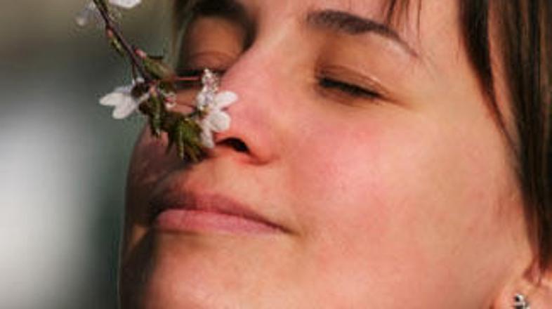 Vitalna in izostrena čutila so vir zadovoljstva.