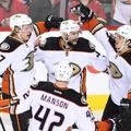 anaheim ducks