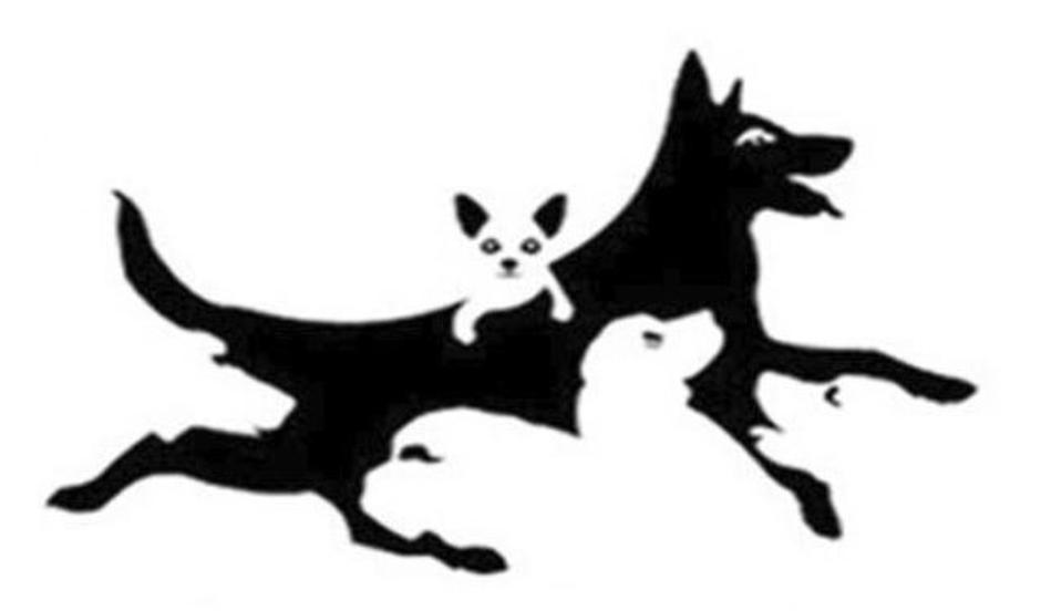 Slika | Avtor: Goodtimes