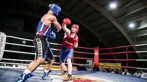 boks boksarska zveza