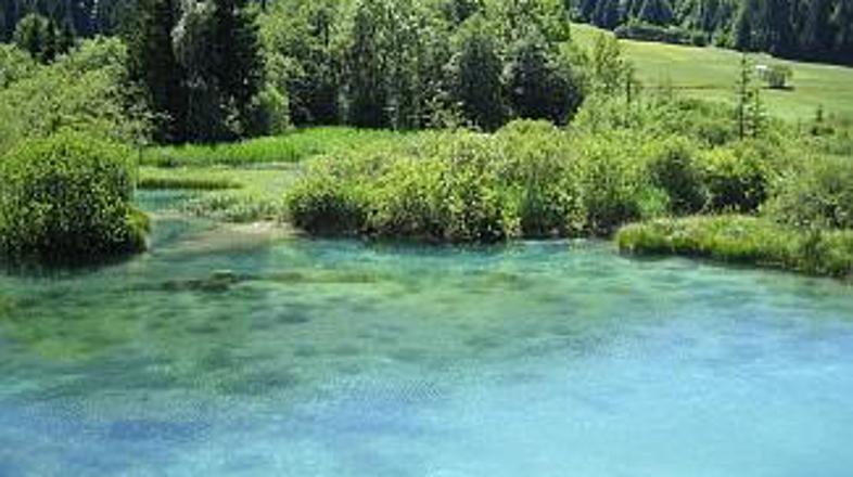Od parkirišča ob magistralni cesti, ki povezuje mejni prehod Rateče in Kranjsko 
