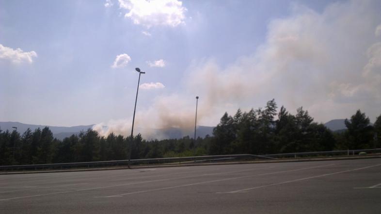 Gori pri mejnem prehodu Jelšane.