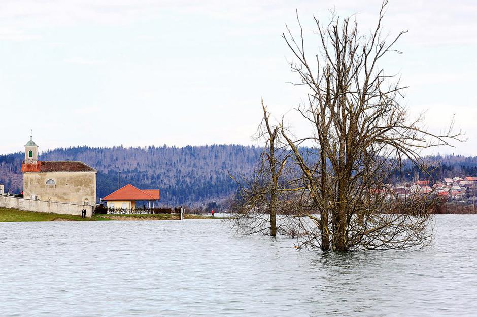 Planinsko polje | Avtor: Saša Despot