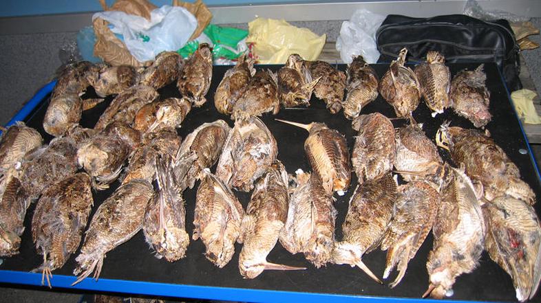 (Foto: Carinska uprava RS)